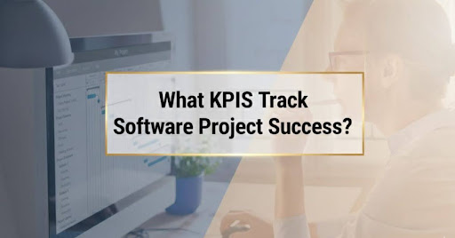 Software Project Success